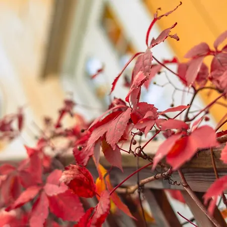 Kartanohotelli Artturi Hotel