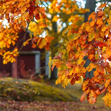 Kartanohotelli Artturi Hotel