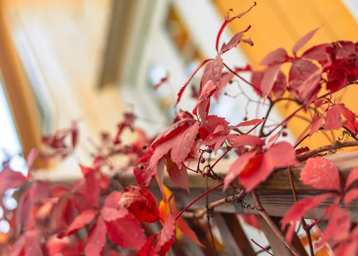 Kartanohotelli Artturi Hotel