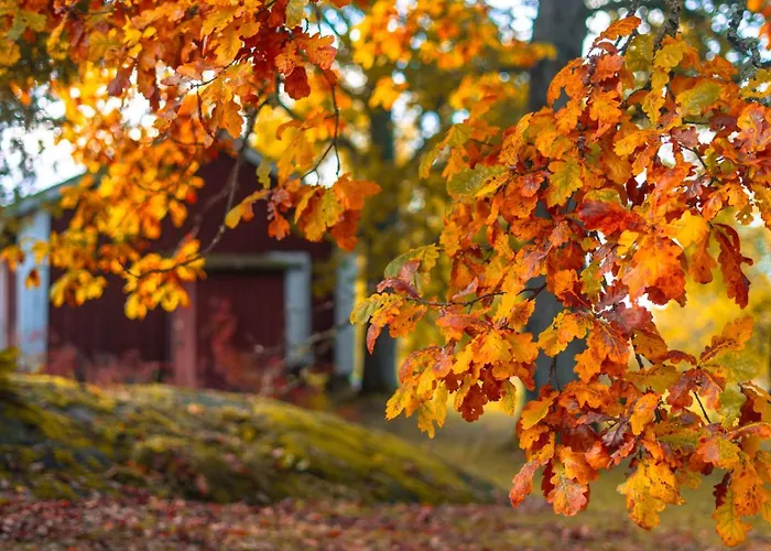 Kartanohotelli Artturi Hotel